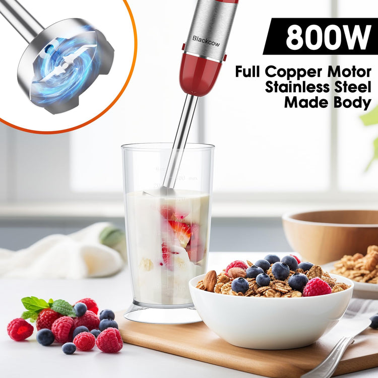Immersion Blender Handheld