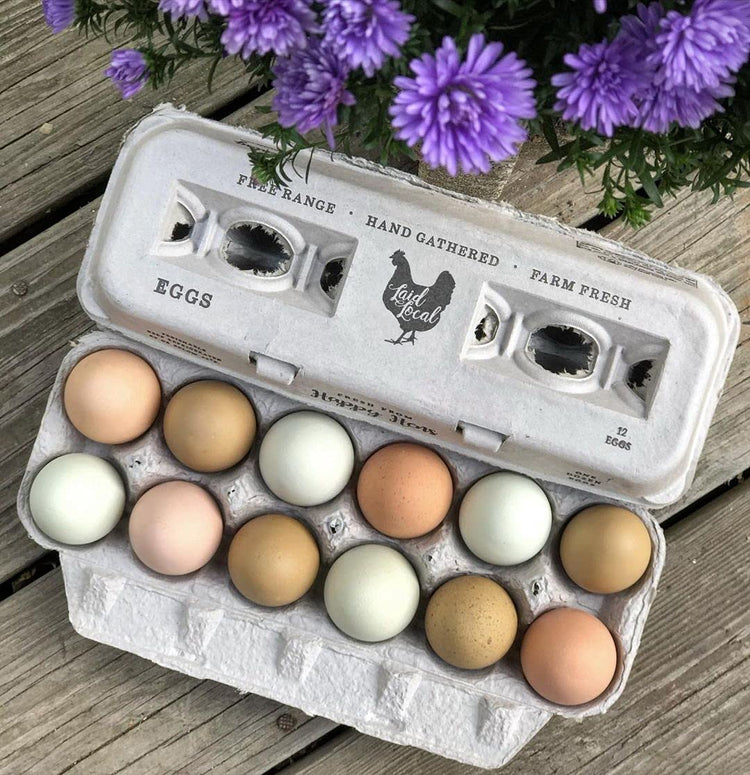 25 Egg Cartons