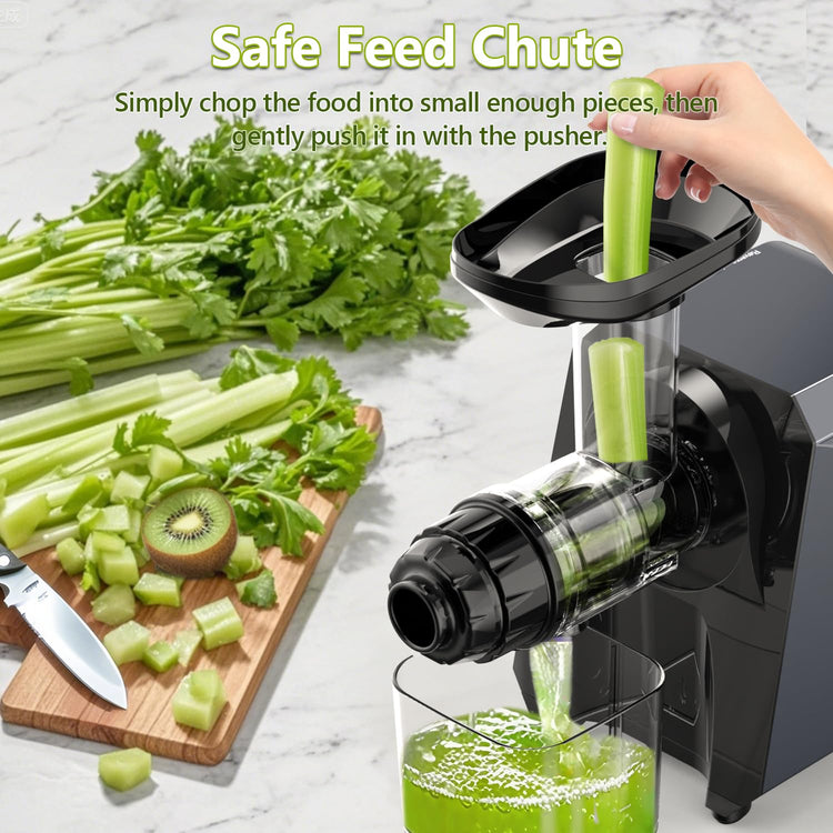 Cold Press Slow Juicers for Carrot Celery Ginger Beet