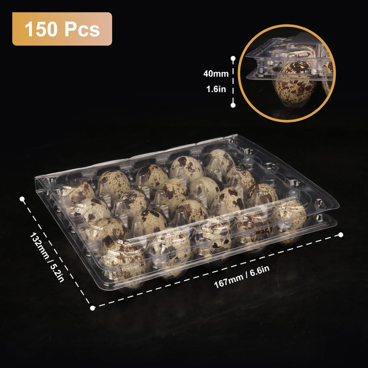 150 Pack Quail Egg Cartons