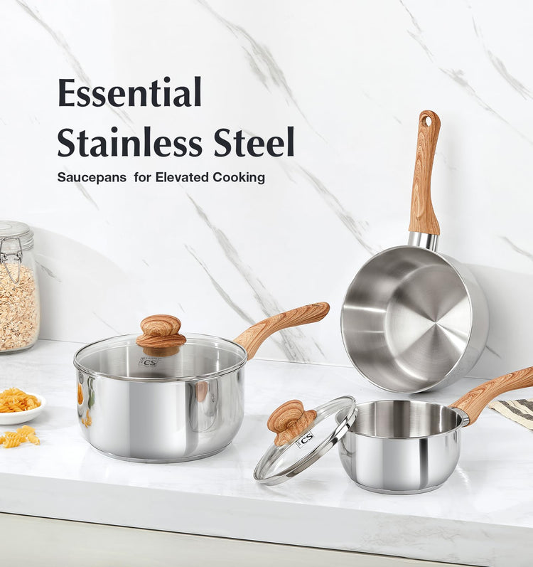 Stainless Steel Saucepan