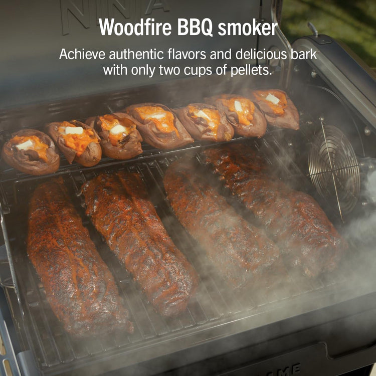 FlexFlame Grill & Smoker