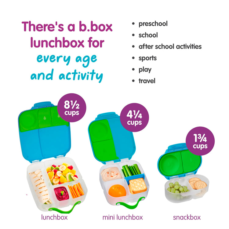 Snack Box 2 Pack (2 Count)