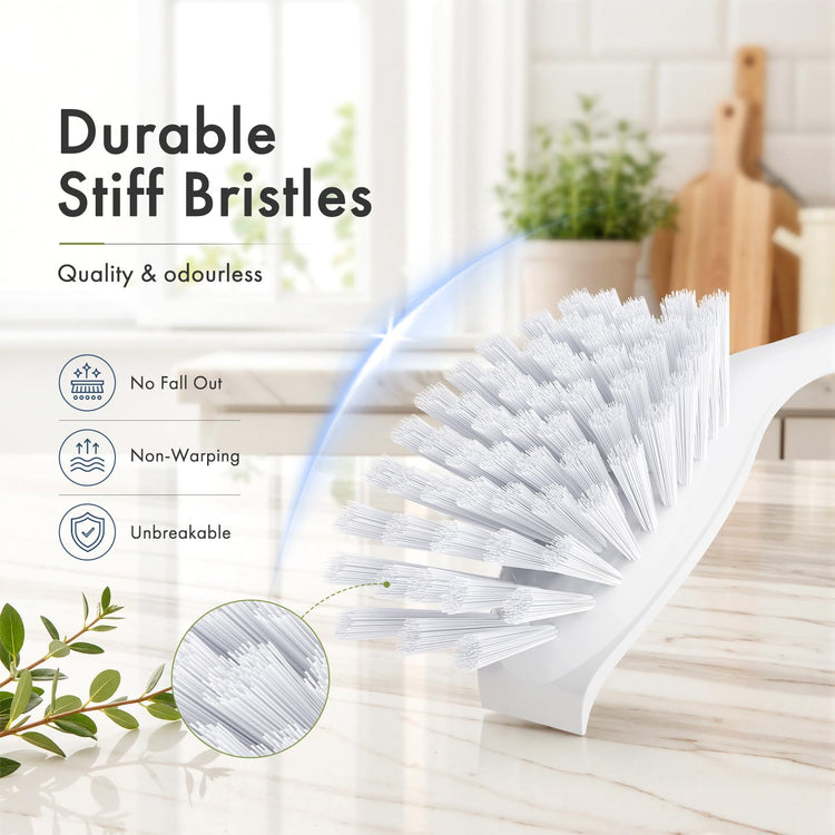 Dish Brush with Handle (2 Count)