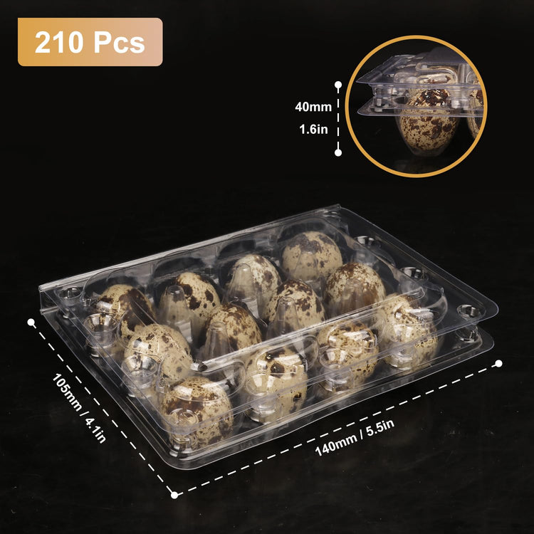 200 Pack Quail Egg Cartons (200 Count)