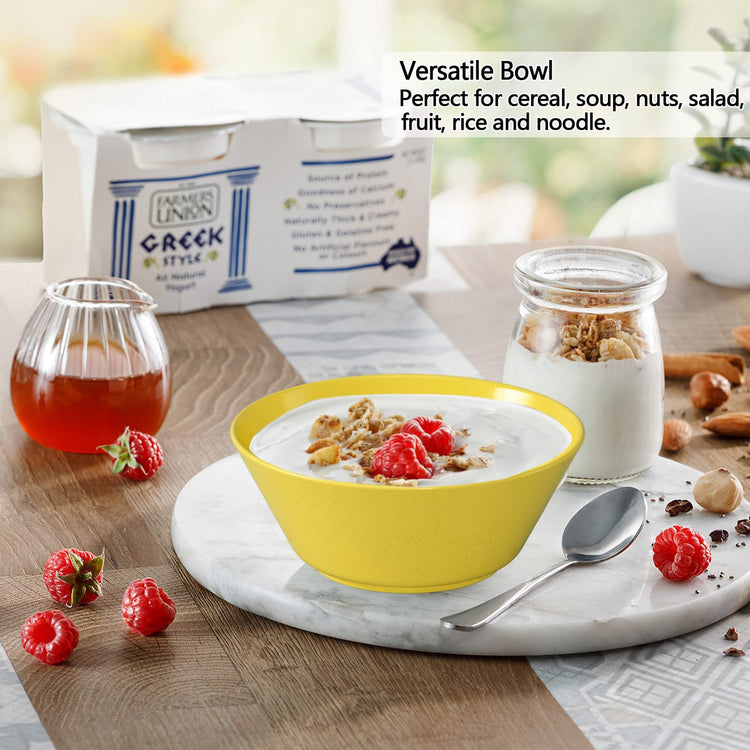 Unbreakable Large Cereal Bowls Set of 6