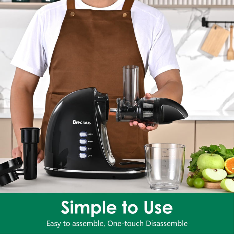 Slow Masticating Juicer