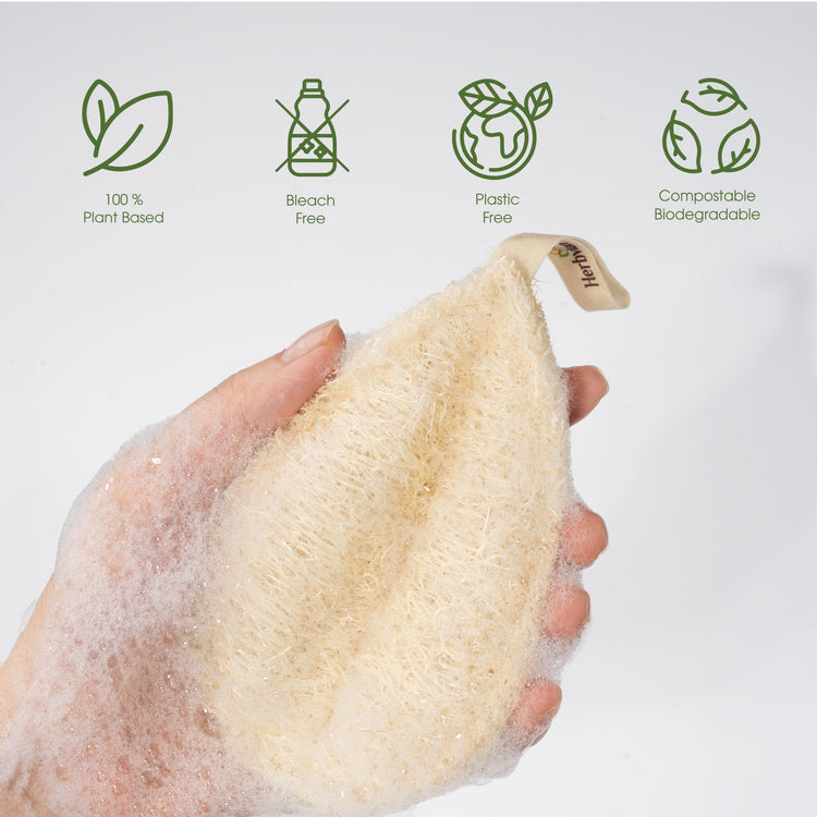 Natural Loofah Kitchen Scrubbing Pads (4 Count)