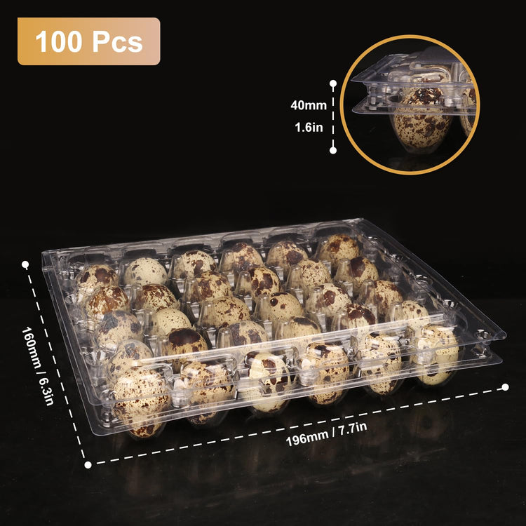 100 Pack Quail Egg Cartons (100 Count)