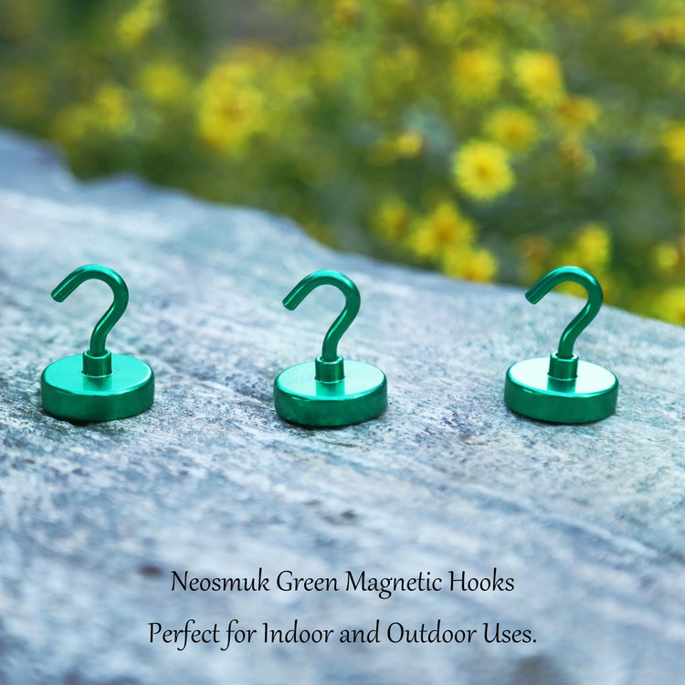 Magnetic Hooks (10 Count)