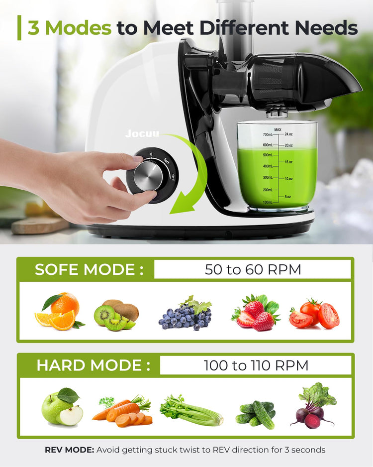 Slow Masticating Juicer with 2