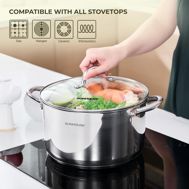 13 Quart Stock Pot with Lid