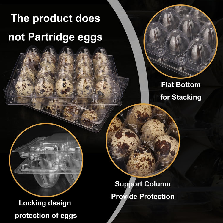 150 Pack Quail Egg Cartons