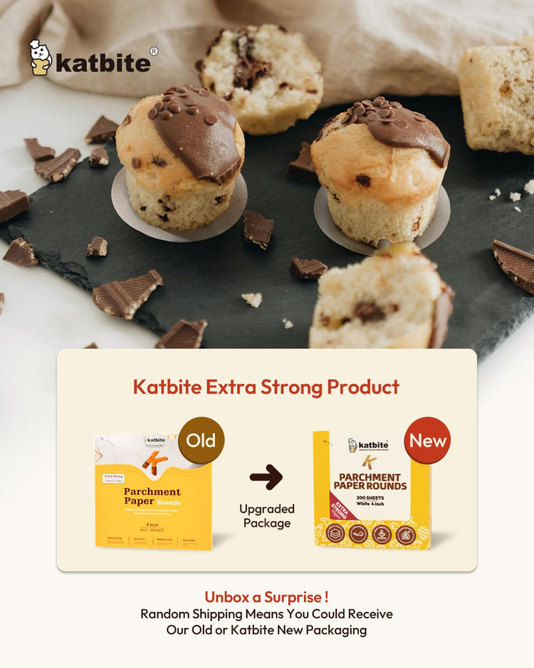 Parchment Paper Rounds (400 Count)