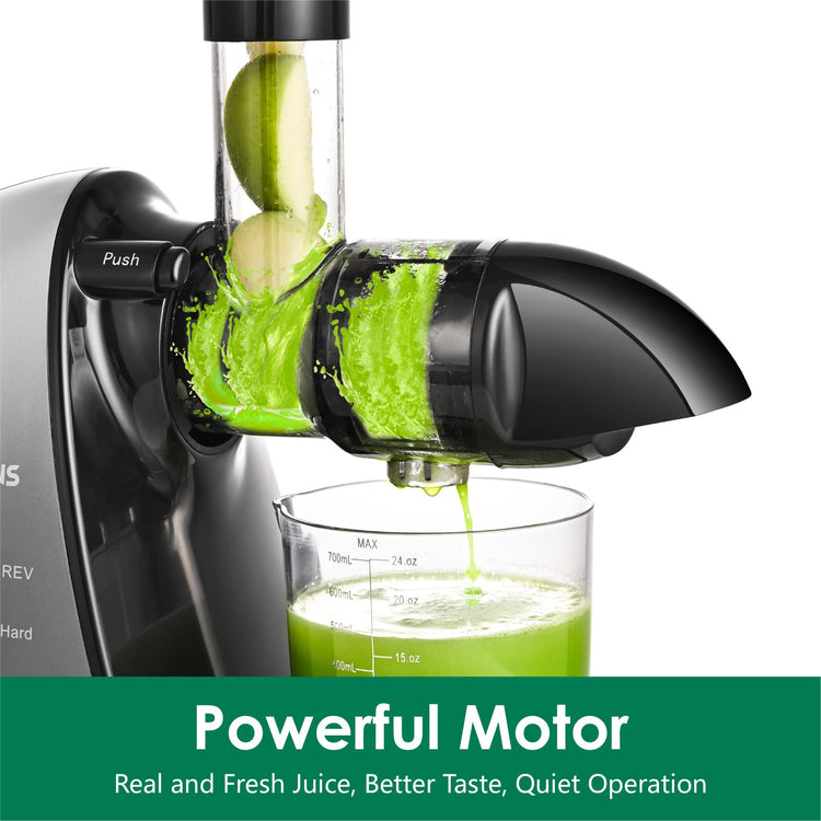 Slow Masticating Juicer