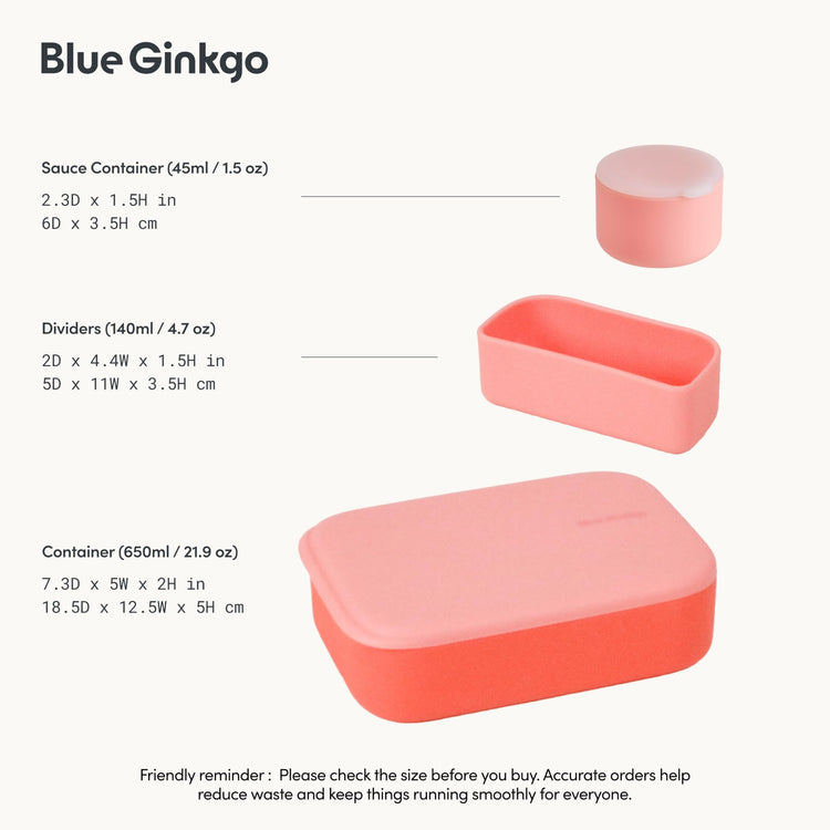 Bento Style Silicone Lunch Box Set