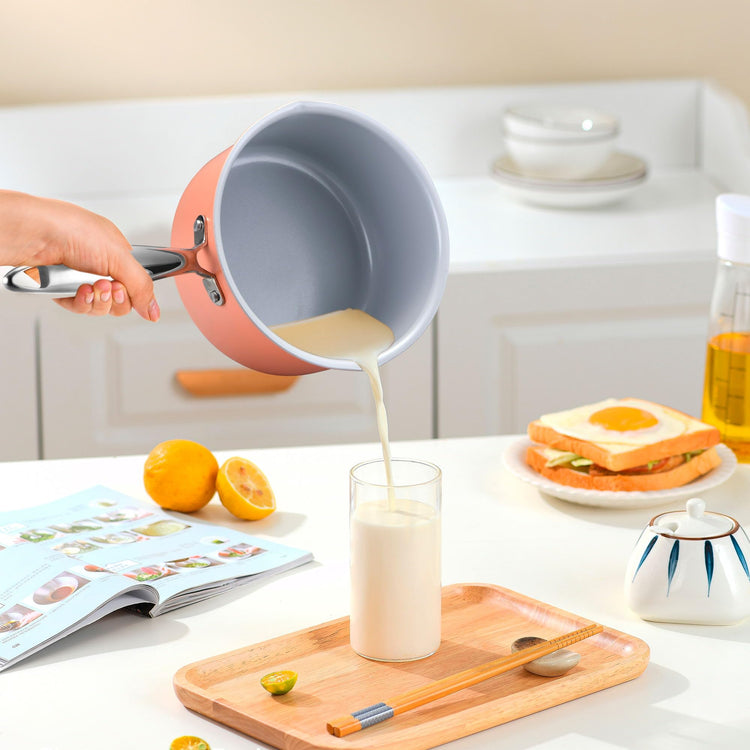 2.0 Quart Stainless Steel Pot Saucepan with Glass Strainer Lid