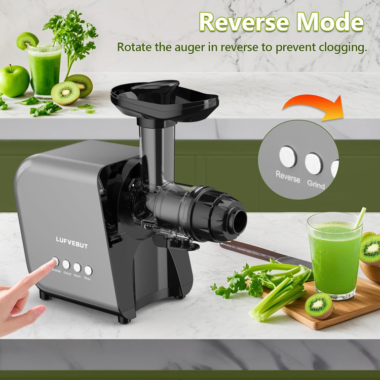 Slow Juicer Carrot Ginger