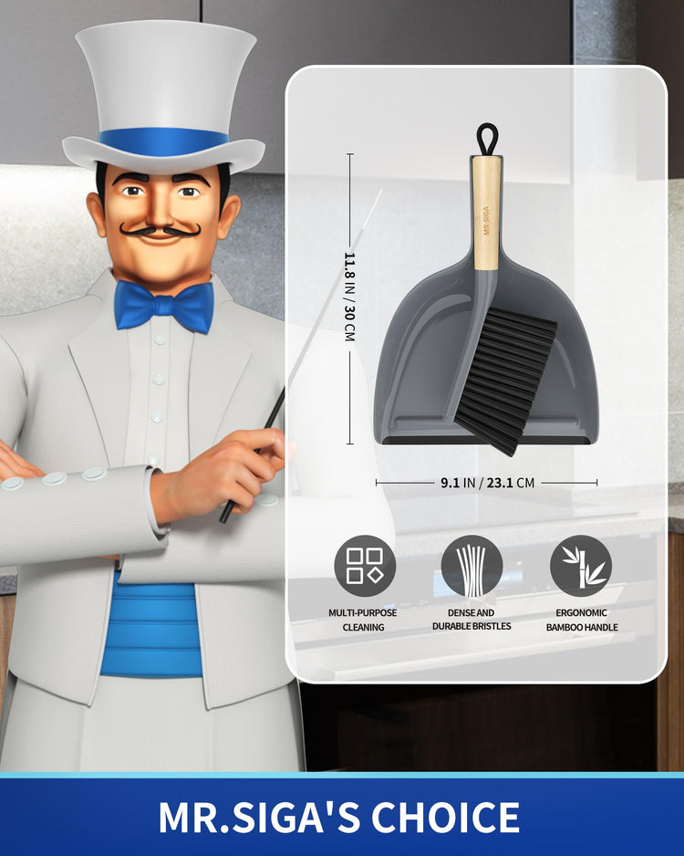 Dustpan and Brush Set