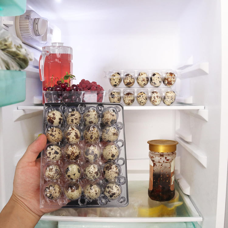 150 Pack Quail Egg Cartons