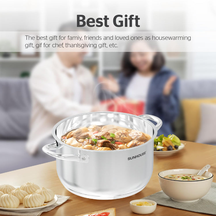 Stainless Steel Stock Pot