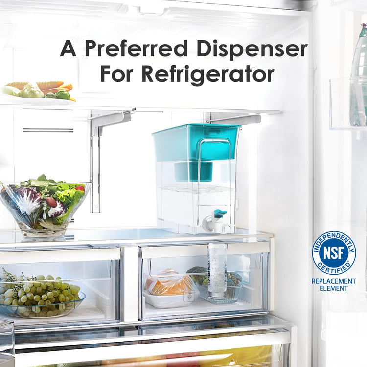 WFD 40B Water Filter Dispenser