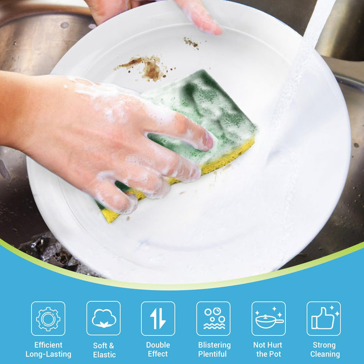 Sponges Kitchen (10 Count)