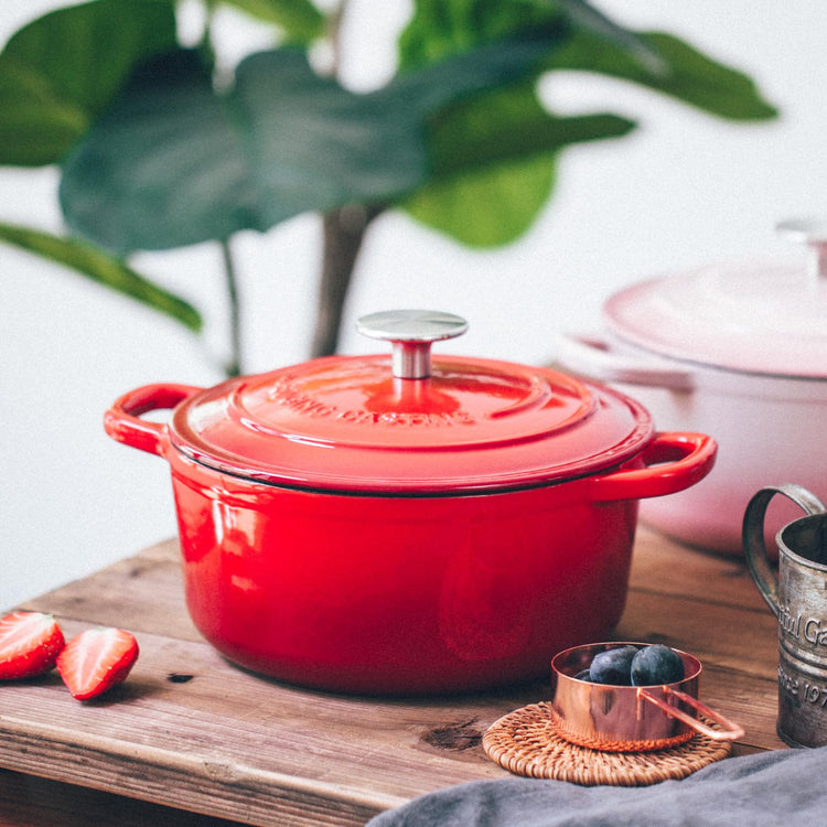 Enameled Cast Iron Dutch Oven