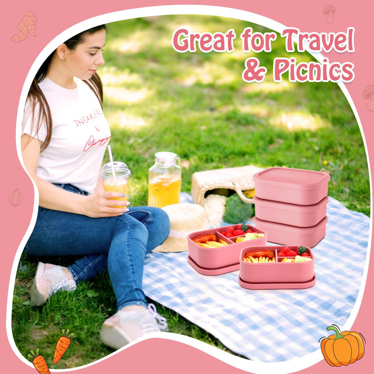 4 Pcs Silicone Bento Box (4 Count)
