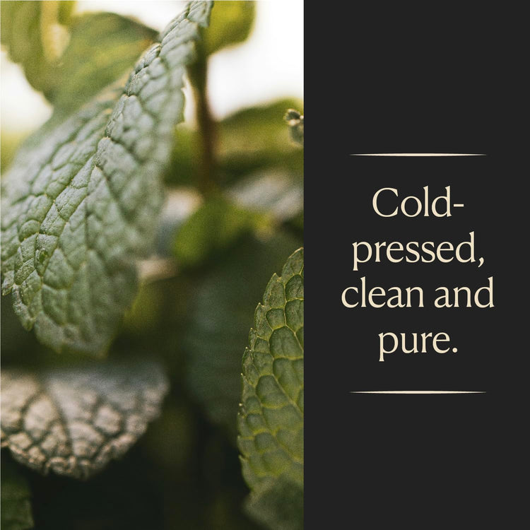 Spearmint Extract for Baking