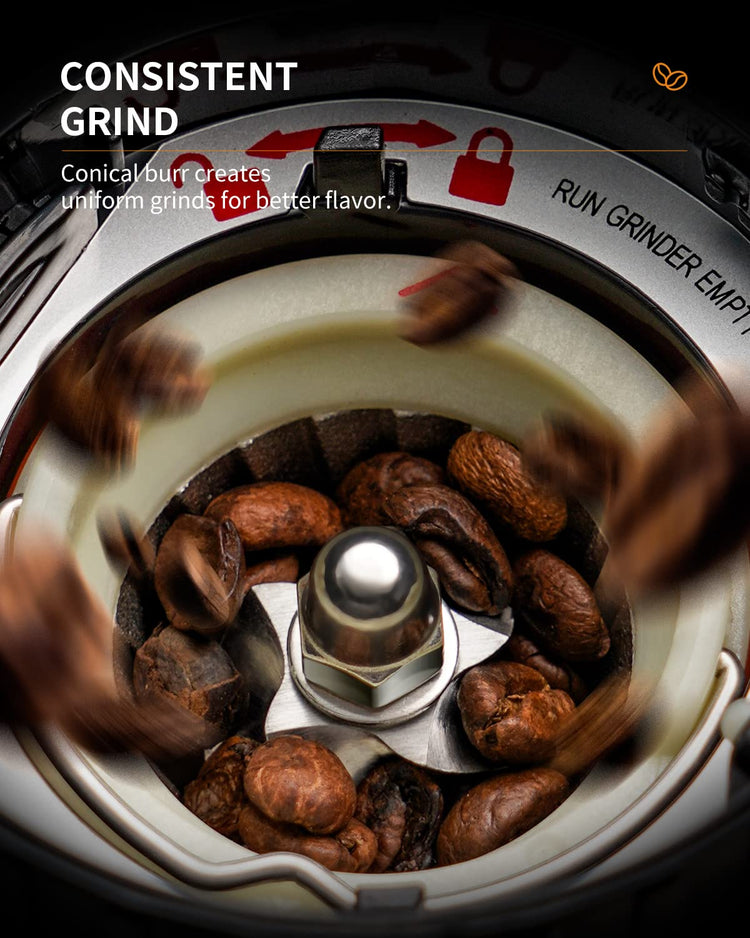 Professional Conical Burr Coffee Grinder