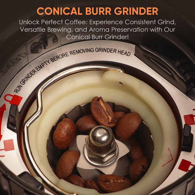 Biolomix Burr Coffee Grinder,Coffee Grinder, 48 Grind Settings and LED Control Panel,Digital Timer, Anti Static,Anti Clogging Coffee Bean Grinder,Grinds 2-12 Cups of Coffee, Black