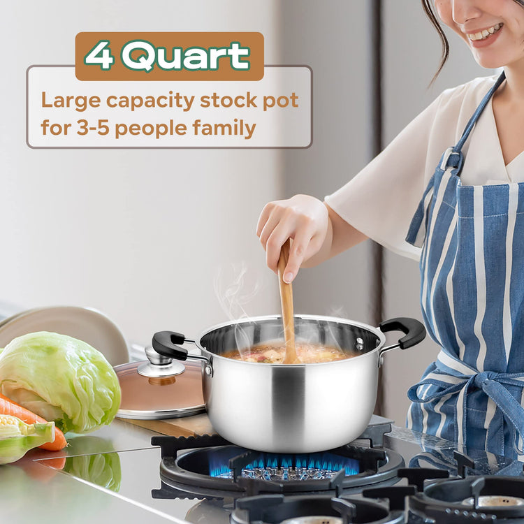 4QT Stock Pot