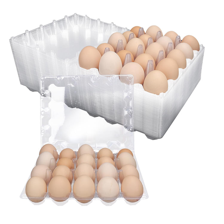50 Pack Bulk Egg Cartons (50 Count)