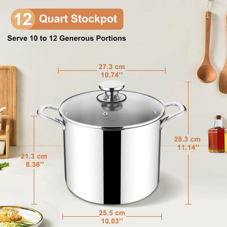 12 QT Stock Pot