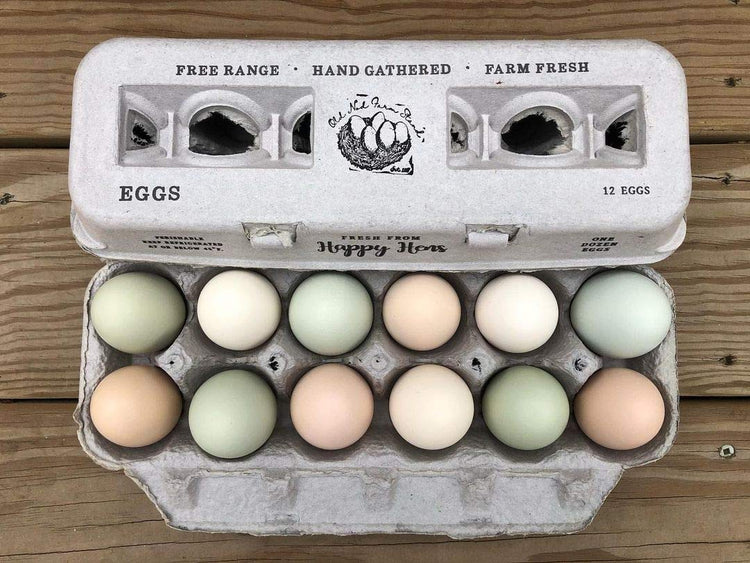 Egg Cartons Adorable Printed Design for Farm Fresh Eggs (25 Count)