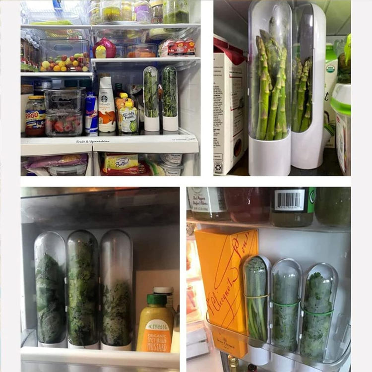Herb Saver for Refrigerator, Fresh Herb Keeper, Herb Saver Pod Containers, Herb Fresh Keeper for Refrigerator,Herb Storage for Cilantro,Parsley, Asparagus,Keeps Vegetables Fresh for 2-3 Wee(2PCS)