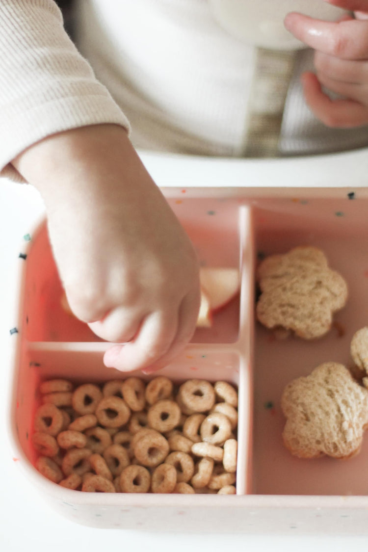 Kids Bento Box