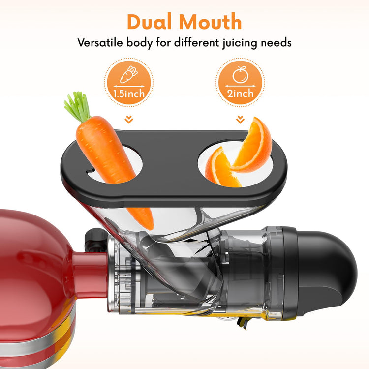 Masticating Juicer Attachment for KitchenAid Stand Mixer