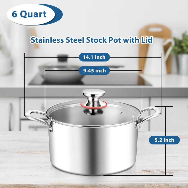 6 Quart Stock Pot