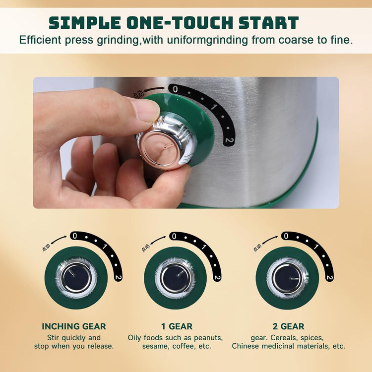 Electric Spice and Nut Grinders - 3 Stainless Steel Blades, 1 Filter, 1 Brush - 500W Grinder for Kitchen Dry Use (Green)