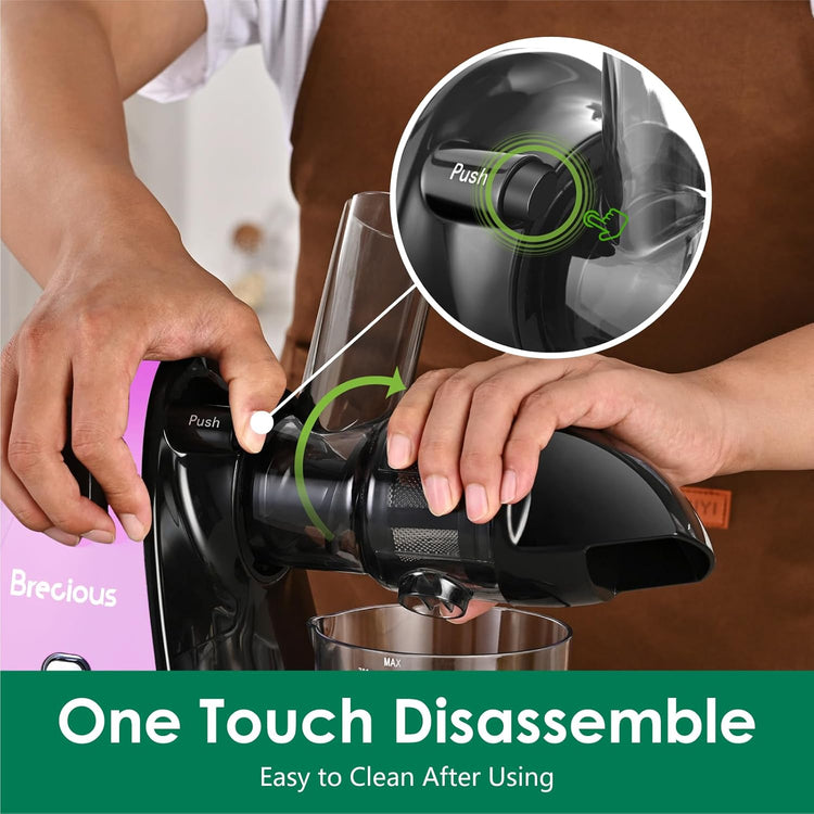 Slow Masticating Juicer,Brecious Cold Press Juicers with 2 Speed Modes & Quiet Motor,Juicers Machines Vegetable and Fruit with Reverse Function,Celery Juicer,BPA-Free,Easy to Clean (Purple)