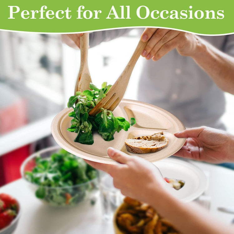 Compartment Plates - Disposable, 9 inch, 100 Pack, Biodegradable, Heavy Duty with Dividers