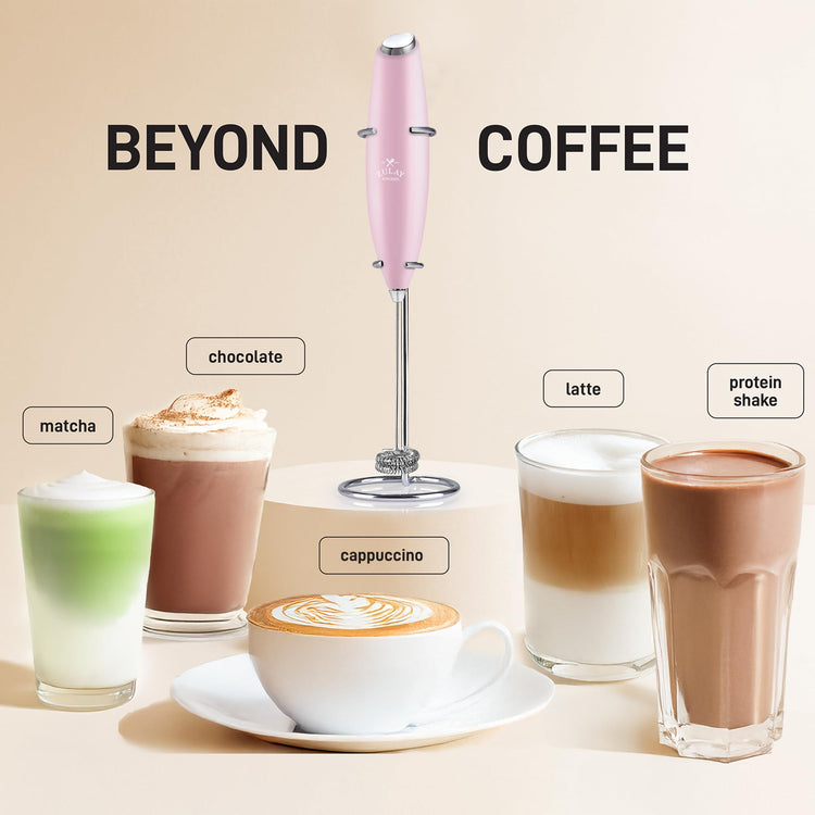 Powerful Double Whisk Milk Frother Handheld