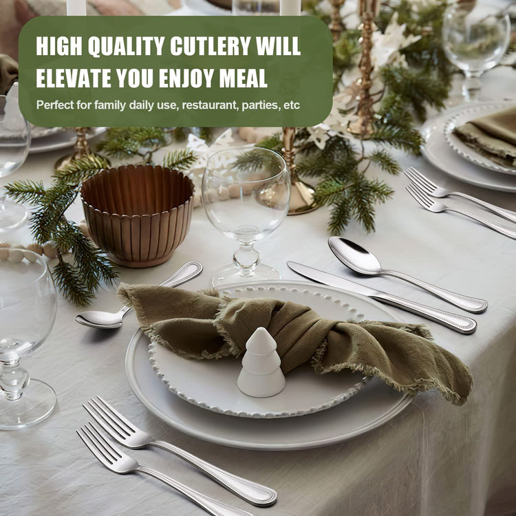 60 Piece Silverware Set for 12