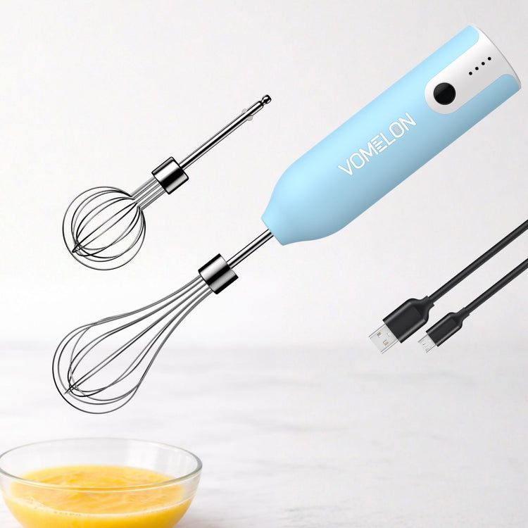 Egg Beater Whisk
