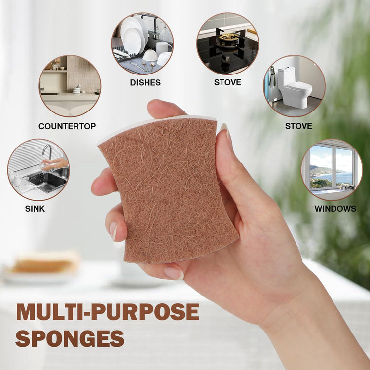 Non Scratch Scrub Sponge (24 Count)