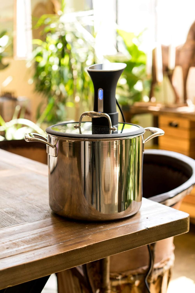 Chef Series Sous Vide, 9.8-Quart Pot, Silver