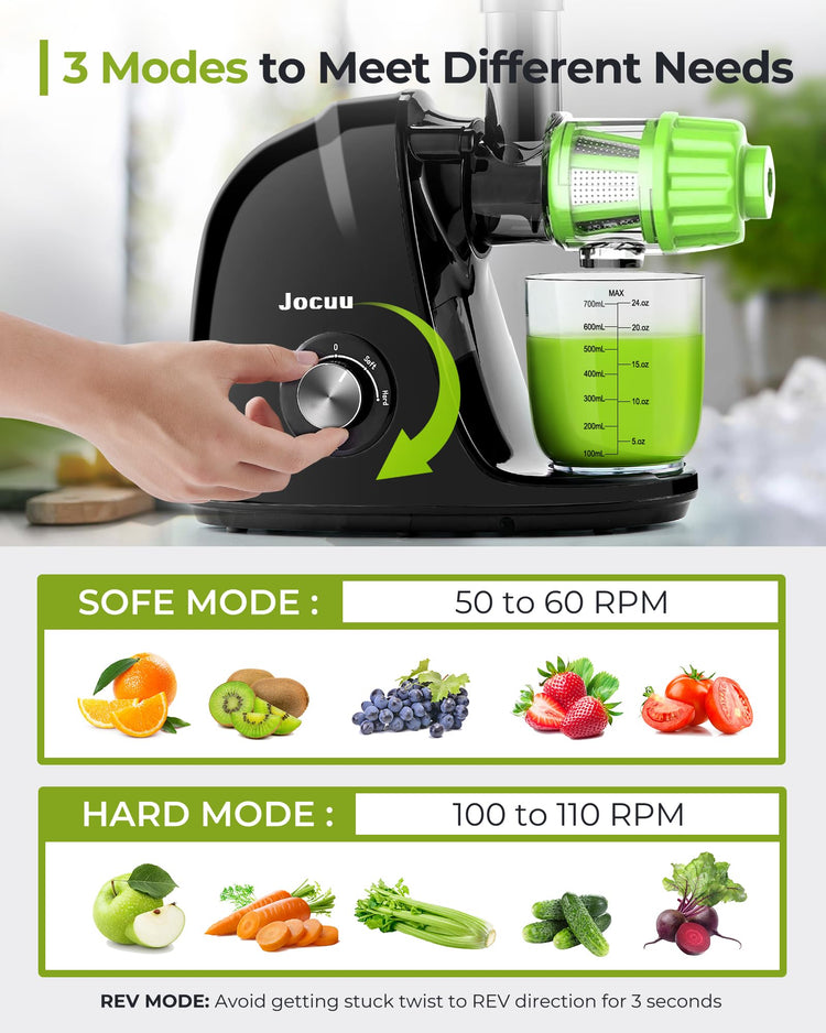 Slow Masticating Juicer with 2