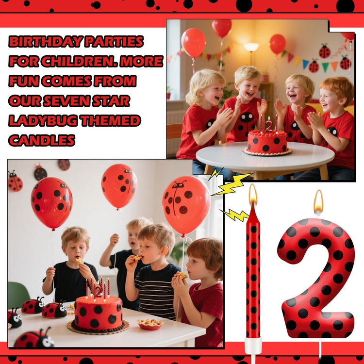13PCS Ladybug Theme Birthday Candles Set (13 Count)